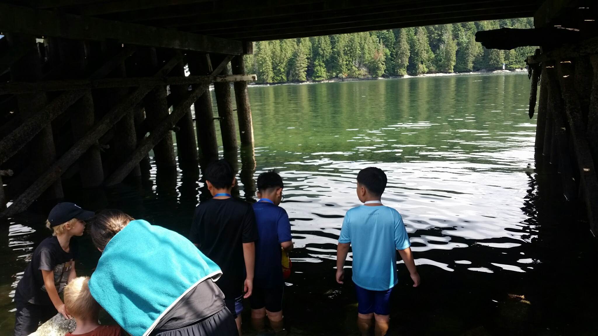 Kids under a small bridge by the lake