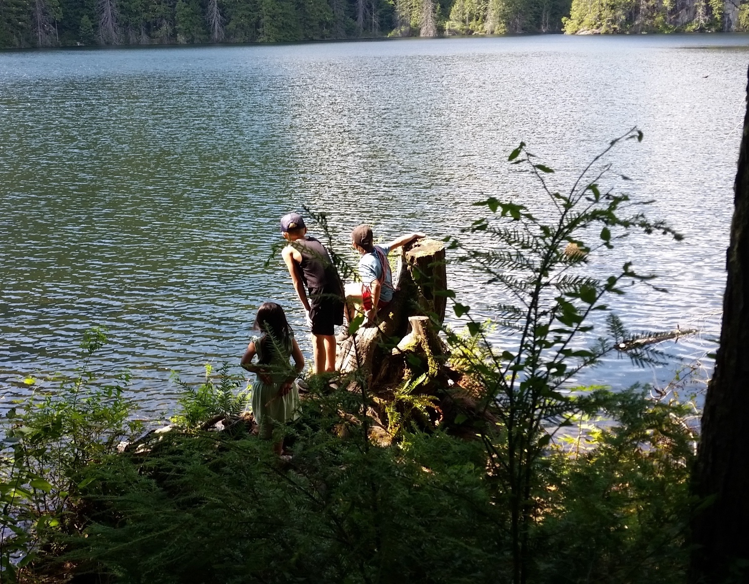 campers looking out at the water